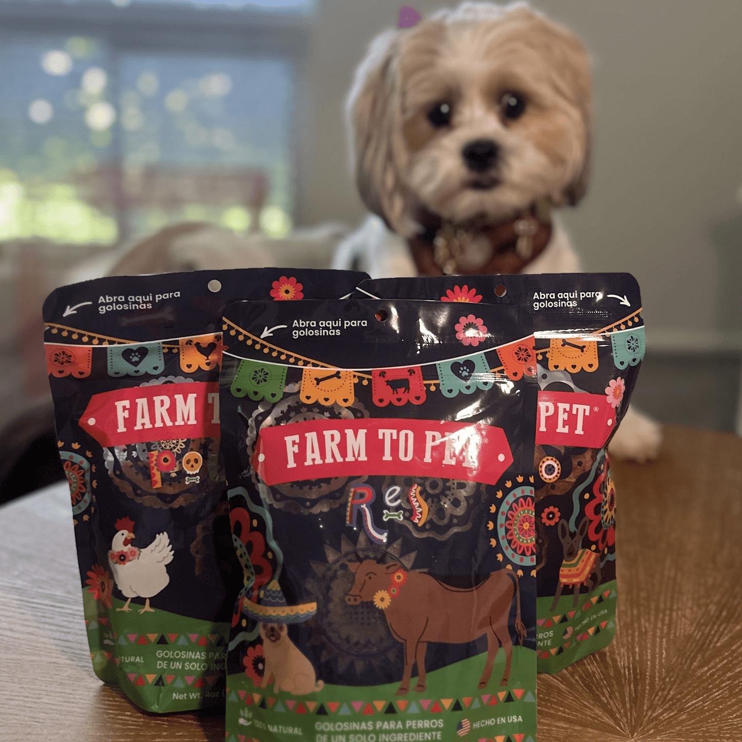 Premios Para Perros Fiesta Pack | Dog Treat Variety Bundle